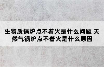 生物质锅炉点不着火是什么问题 天然气锅炉点不着火是什么原因